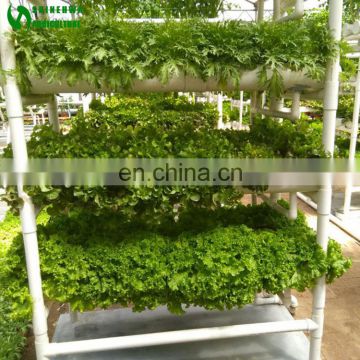 2017 Hot Selling New Design Hydroponic Vertical