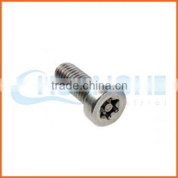 China supplier anti-theft screw tapping screw