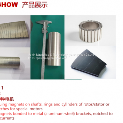 Fast Customized permanent Neodymium Magnet for special motors