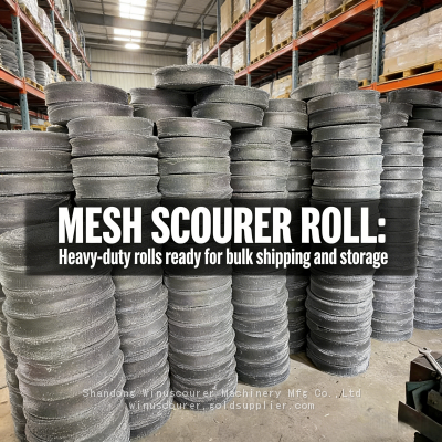 Fábrica China Winuscourer Venda a Granel Preço Barato Fio Galvanizado com Alta Camada de Zinco de 0,22MM Rollo de Escovão de Malha Galvanizada