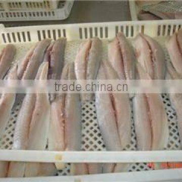Deep Processed IQF Frozen Spanish Mackerel Fillet photo-2
