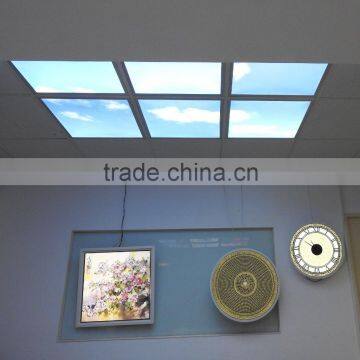 MICROSTONE 3x2 customized colorful SKY led ceiling mount light