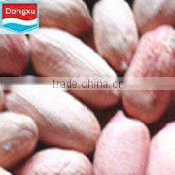 Chinese Peanut 24/28