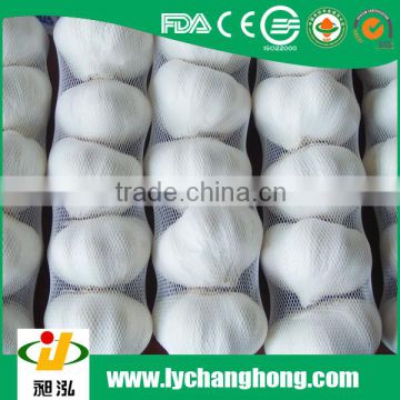 Best quality normal white garlic