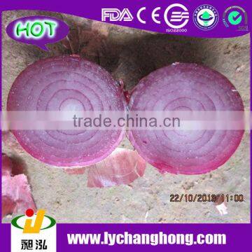 Fresh Onion/Red Onion/Onion