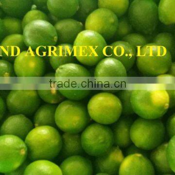 HIGH QUALITY SEEDLESS LIME FOR SALE