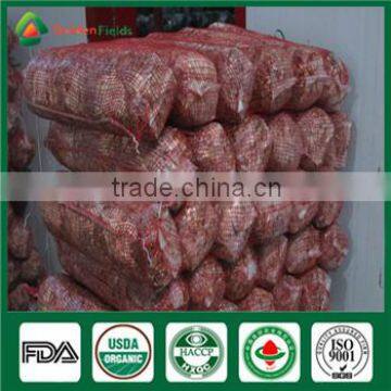 China Supplier of High Yield Shiitake Spawn Culture for Sale photo-6