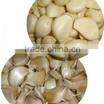 Stainless Steel Garlic Clove Peeling Machine photo-3