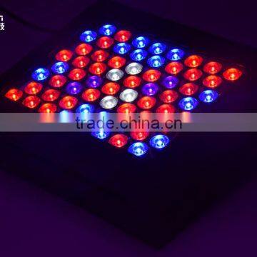 High Quality Full Spectrum LED Grow Lights 300W For US CA EU AU Market