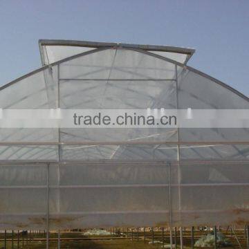 Single Layer Plastic Film Greenhouse