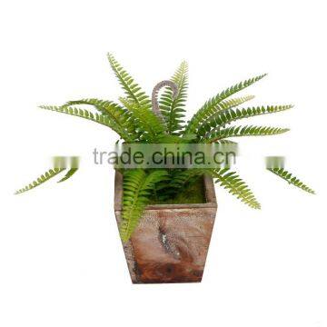 Wholesale high simulation Persia leaves handmade artificial plant for Christmas with wooden pot from Flora BUnda