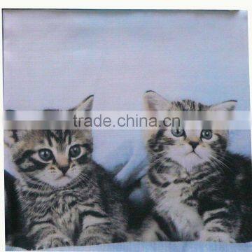 2015 Fashion Photo Printing Designer Cushion Cover/pillow Case photo-5