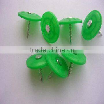 Electro galvanized ring shank with round plastic cap