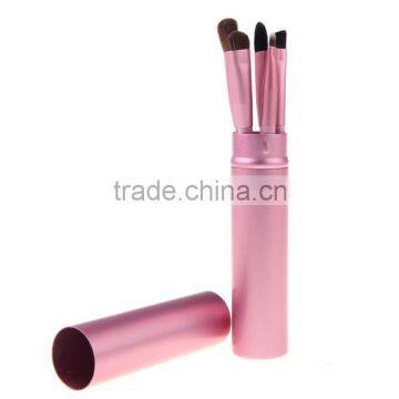 Christmas gift portable eye shadow brush set