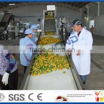 complete set of mango juice production line