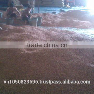 NEW CROP VIETNAM PEANUT / Vilaconic.export15@gmail.com photo-2