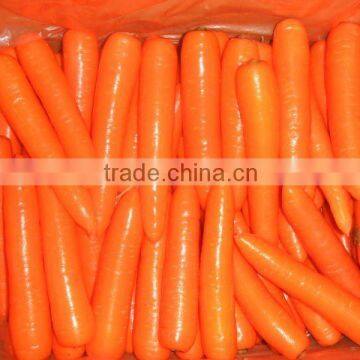 Chinese 2011 New Fresh Yellow Carrot in 10kg/mesh bag