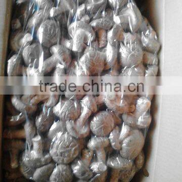 Shiitake Mushroom photo-3