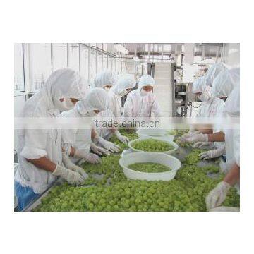 Yantai Kangleda Food Co., Ltd.
