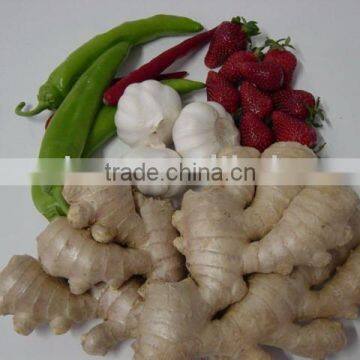 Air-dry Ginger