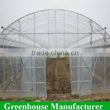 Cheap plastic single tunnel tomato greenhouse