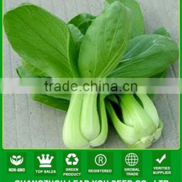 NPK03 Yuhua Best high yield pak choi seeds for planting