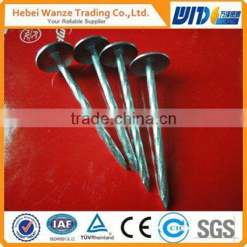 umbrella head roofing nails with rubber washer for wholesale(china)