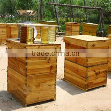 Supply high quality manufacturerr bee hive