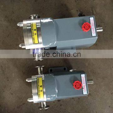 Stainless Steel Chocolate Rotary Gear Sanitary Rotor Pump