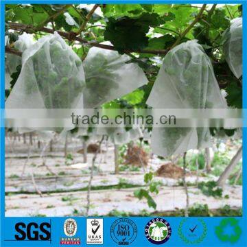 Agricultural Non-woven Fabric With UV Treated photo-3