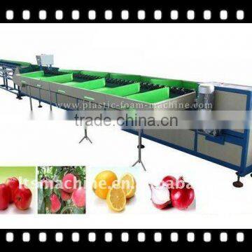 Vertical Type Fruit Sorting Machine