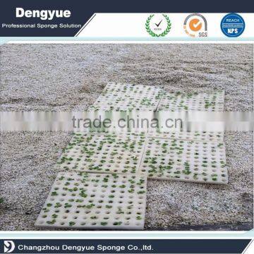 Agricultural Soilless Vertical Cell Seed Foam Tray