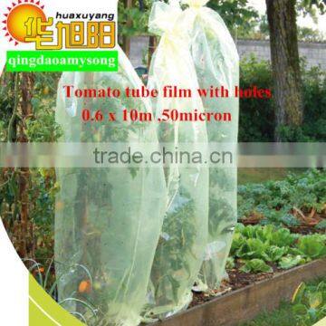 Green Color PE Agricultural Plastic Perforated Film With UV for Protective Tomato Tree photo-4