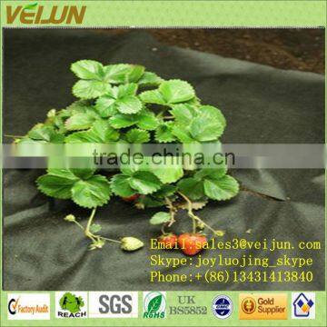 Sun protection agricultural cover fabric