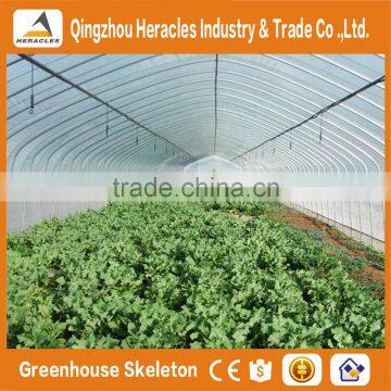 Heracles Trade Assurance Vegetable Seeds Greenhouse photo-4