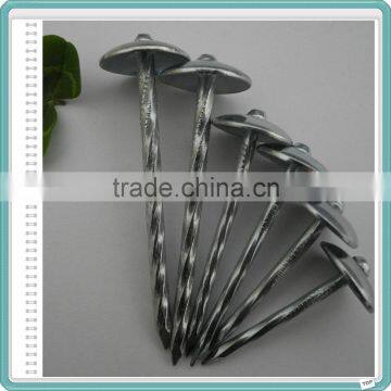Galvanized Umbrella Head Roofing Nails Factory photo-6