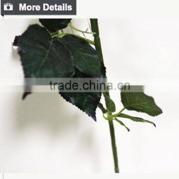 Rainbow Rose Flower Valentine's Gift Rose Flower photo-5