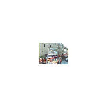 P20 LED Electronic Arena Full Color Display Screen
