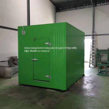 Storage and Preservation of Plum Fruit photo-2