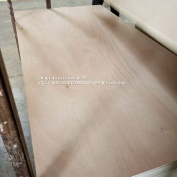 24mm marine commercial bintangor plywood prices