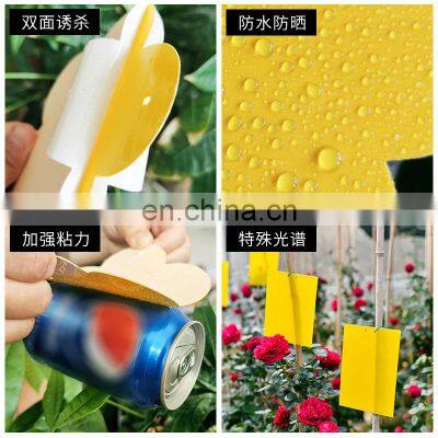 Amazon Hot Sell Fly Mosquito Insect Catcher Sticky Traps Fruit Fly Gnat Trap Yellow Strong Glue+paper+fly Bait All-season 1year