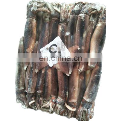 sea frozen illex squid frozen illex squid whole round all size