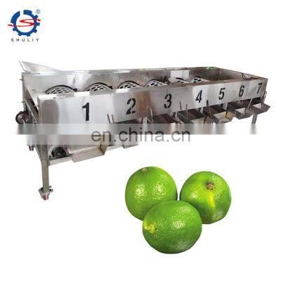 Automatic Round Shape Size Grader Fruit Sorter Orange Tangerine Sorting Grading Machine