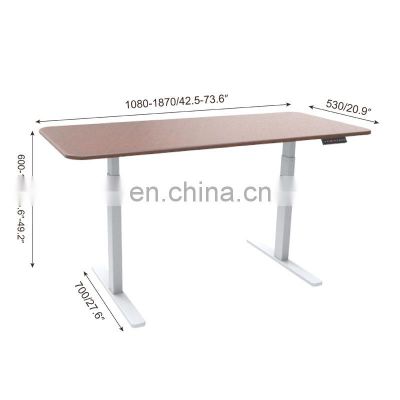 Ergonomic Electric Motorized Height Adjustable Sit Stand Desk