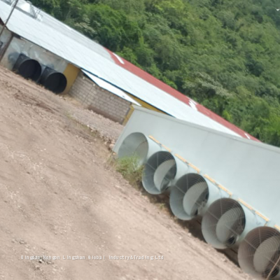 Cheap Hign Quality Design Prefabricated Light Steel Metal Structure Barn Warehouse Shed Buildings photo-3