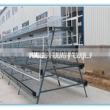 uganda poultry farm automatic chicken layer cage for sale