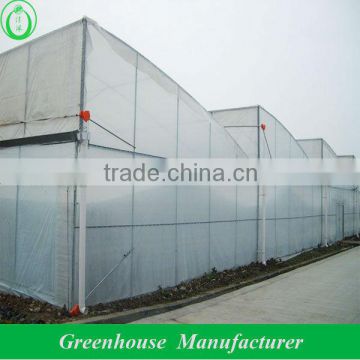 multi span plastic film greenhouse ventilation