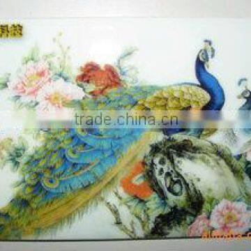 220g Eco-solvent PVC Film Inkjet Media