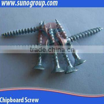China Precision High Quanlity Lag Screw