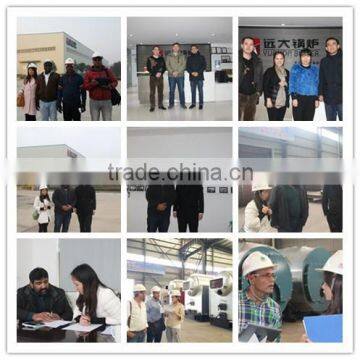 6 Ton Natural Gas,LPG,CNG,LNG Fired Industrial Thermal Oil Boiler photo-6